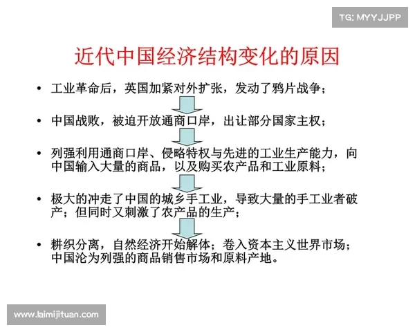 人民币原材料来源及其对中国经济的深远影响分析与实践指南 人民币原材料来源及其对中国经济的深远影响分析与实践指南
