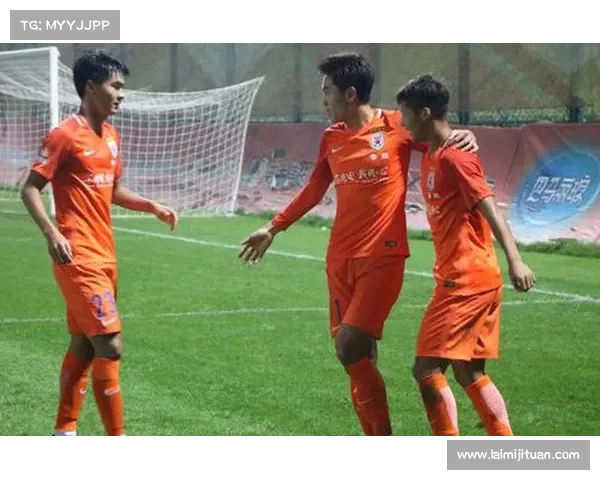 从语言能力视角探究巴舒亚伊多语现象及其对职业生涯影响 从语言能力视角探究巴舒亚伊多语现象及其对职业生涯影响